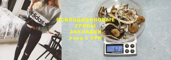 СК Абинск