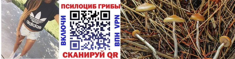 Псилоцибиновые грибы мухоморы  MEGA ссылка  Алдан  что такое  